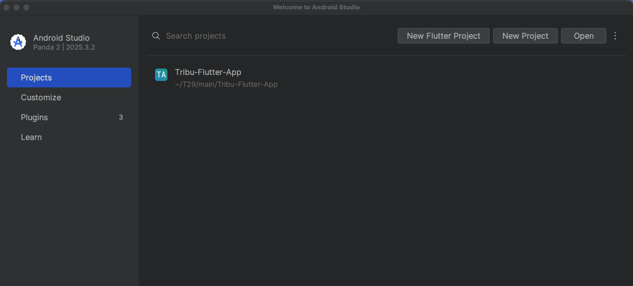 Opening the project in IDE